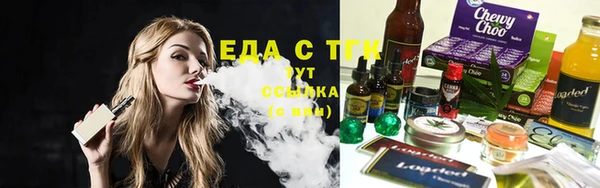 тгк Алзамай