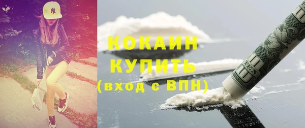 тгк Алзамай