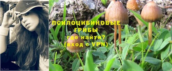 прущие крисы Нея