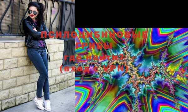 тгк Алзамай