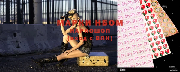 тгк Алзамай