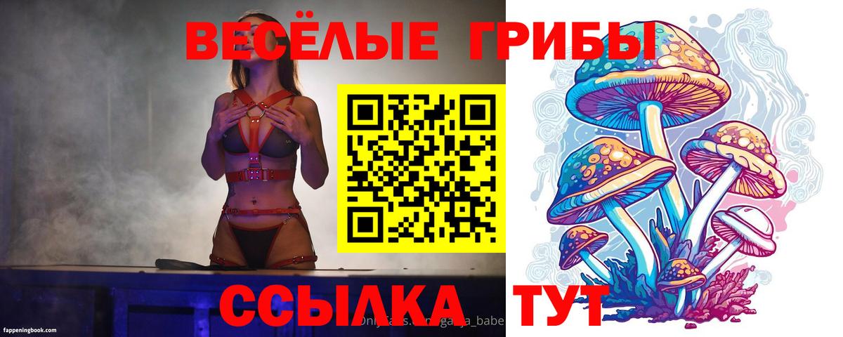 Тобольск  Псилоцибиновые грибы Psilocybe  Вход с VPN  Галлюциногенные грибы прущие грибы 