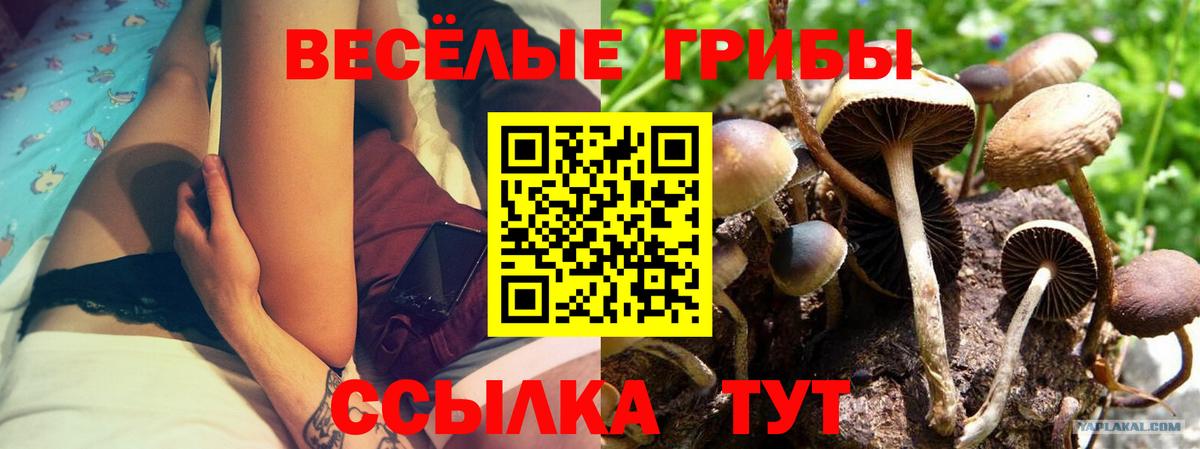 Галлюциногенные грибы прущие грибы Тобольск